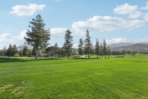 Olive Branch Ln-2302-907.jpg