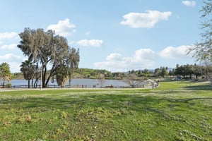 Olive Branch Ln-2302-910.jpg