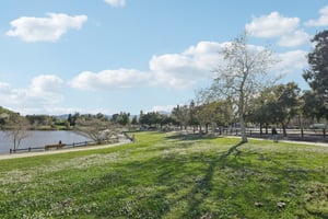 Olive Branch Ln-2302-911.jpg