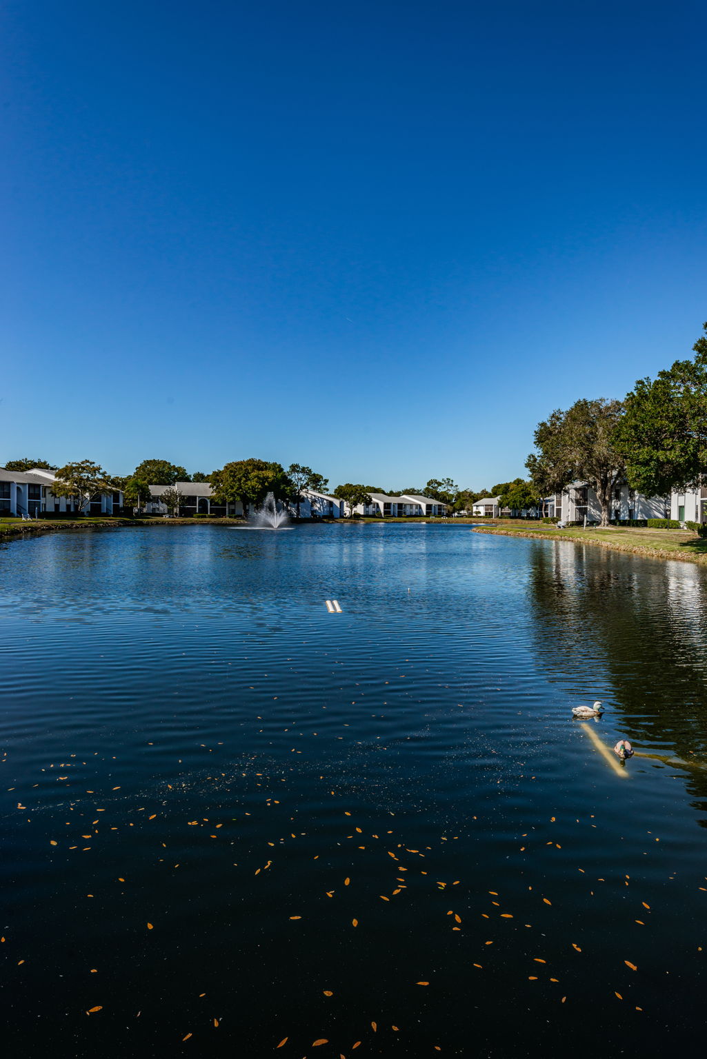 21-Pine Ridge Lake Tarpon Water View