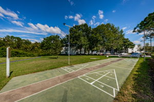 23-Pine Ridge Lake Tarpon Shuffleboard