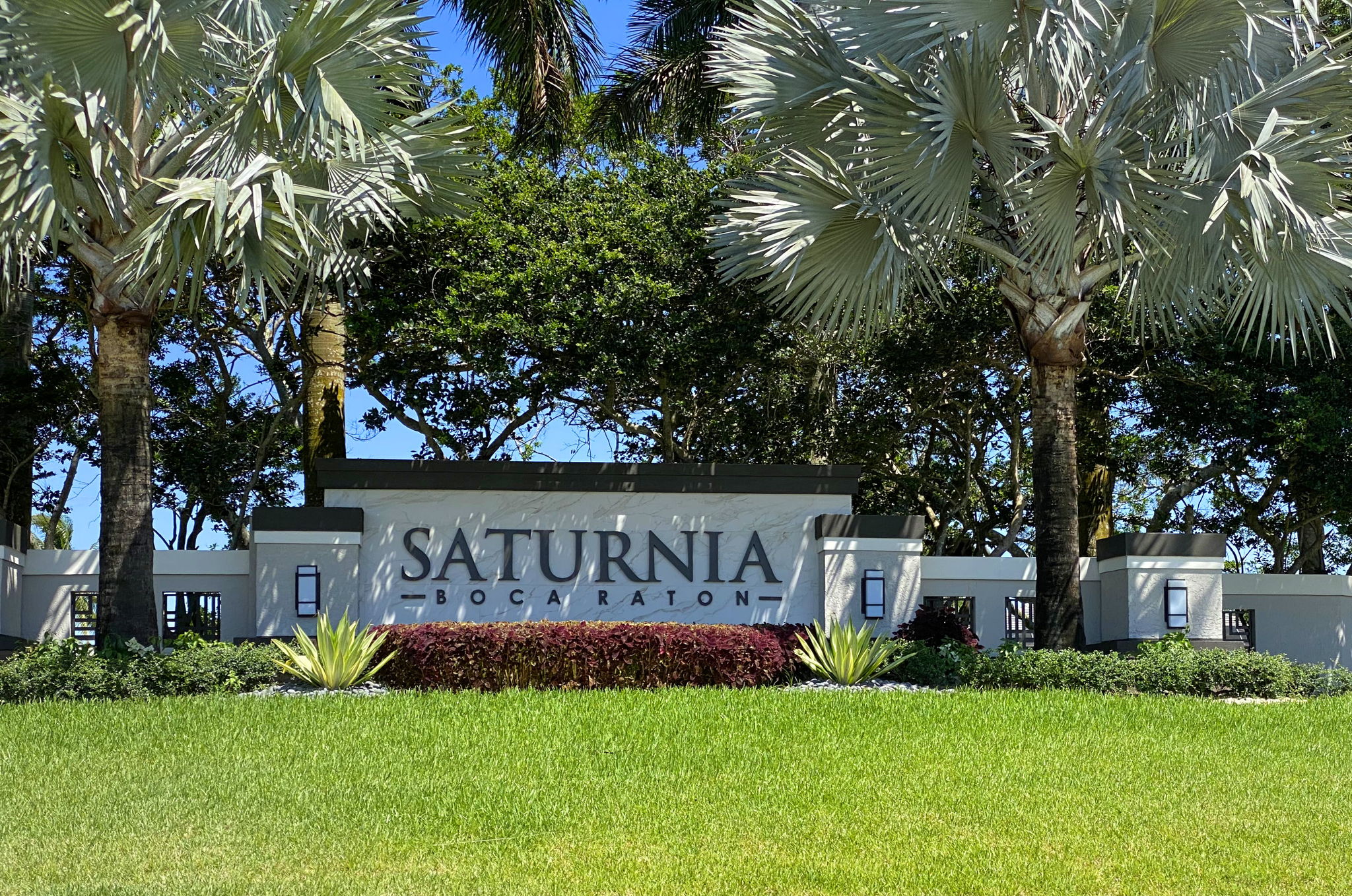 FRONT OF SATURNIA