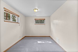 Basement Bedroom