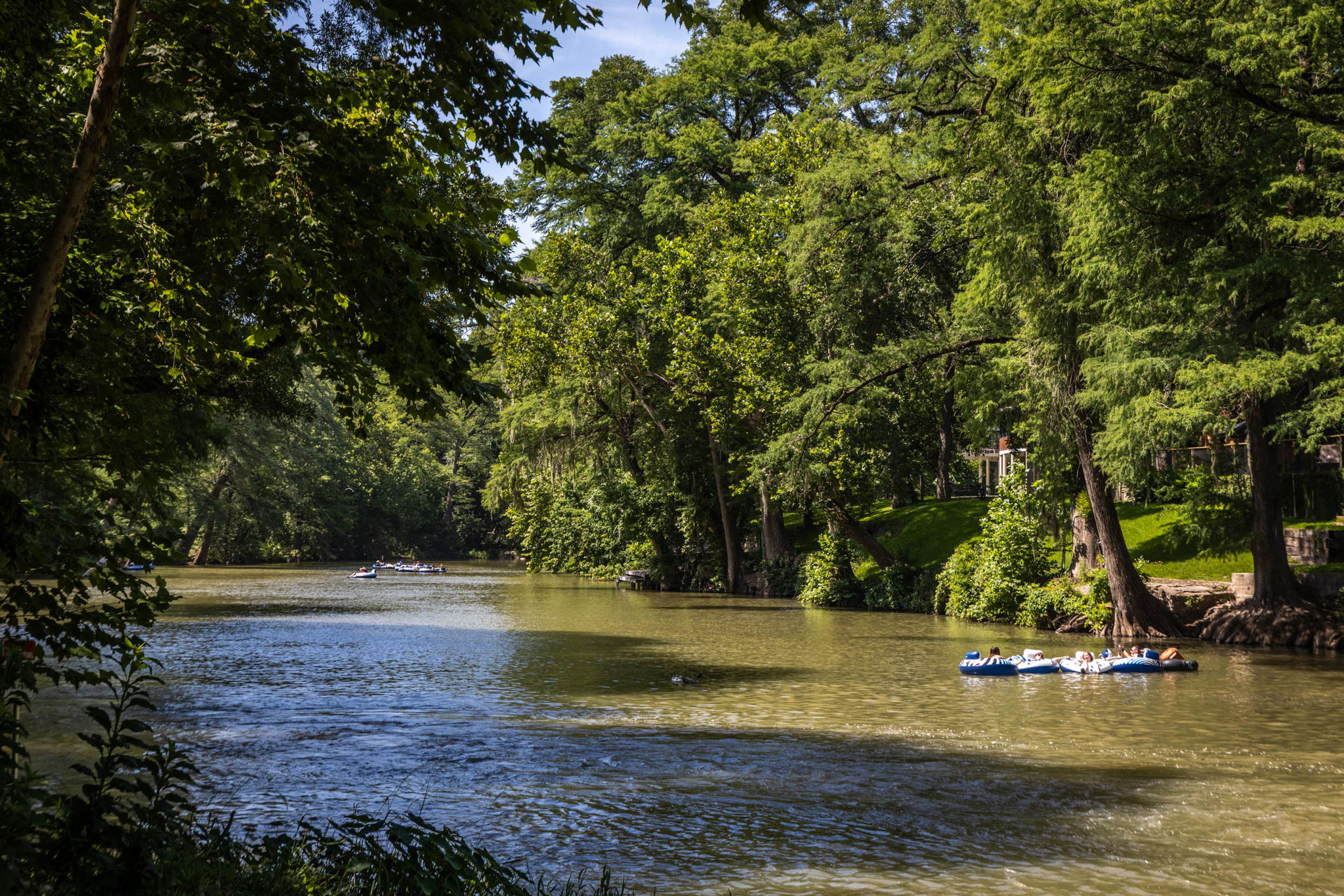 68_1185 Gruene Rd_Kennedy_Fossum Studios