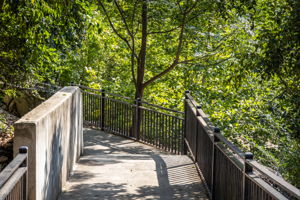 152_1185 Gruene Rd_Kennedy_Fossum Studios