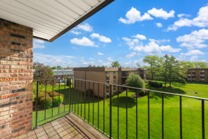 1185 Higgins Quarters Dr 306, Hoffman Estates, IL 60169_010