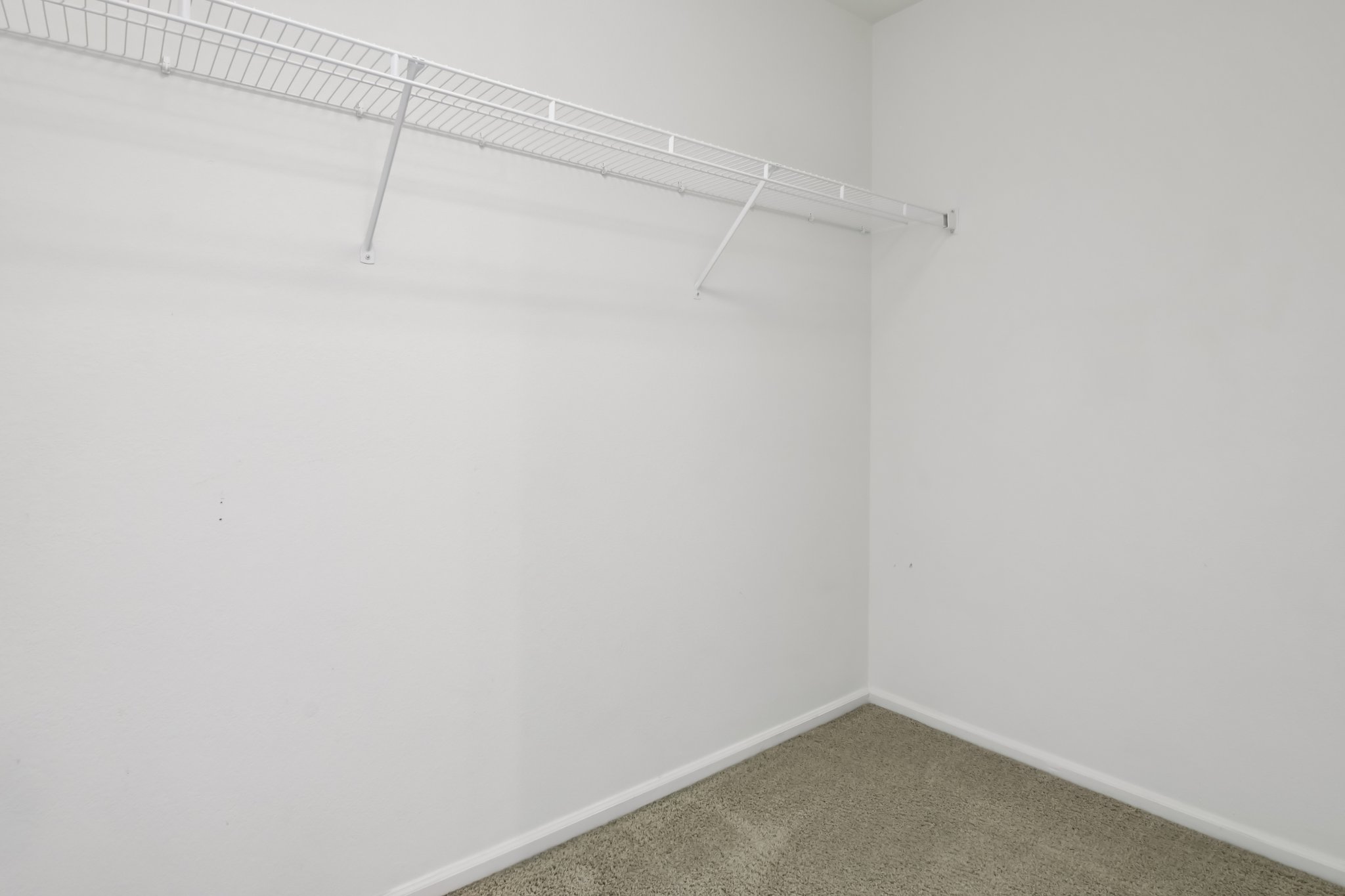 Idalia St-S0502-042.jpg