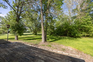  Photo 52