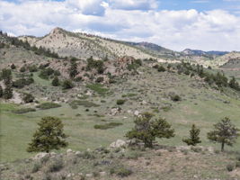 Photo 20