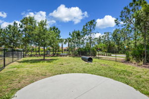 11883 Frost Aster Dr, Riverview, FL 33579, USA Photo 61
