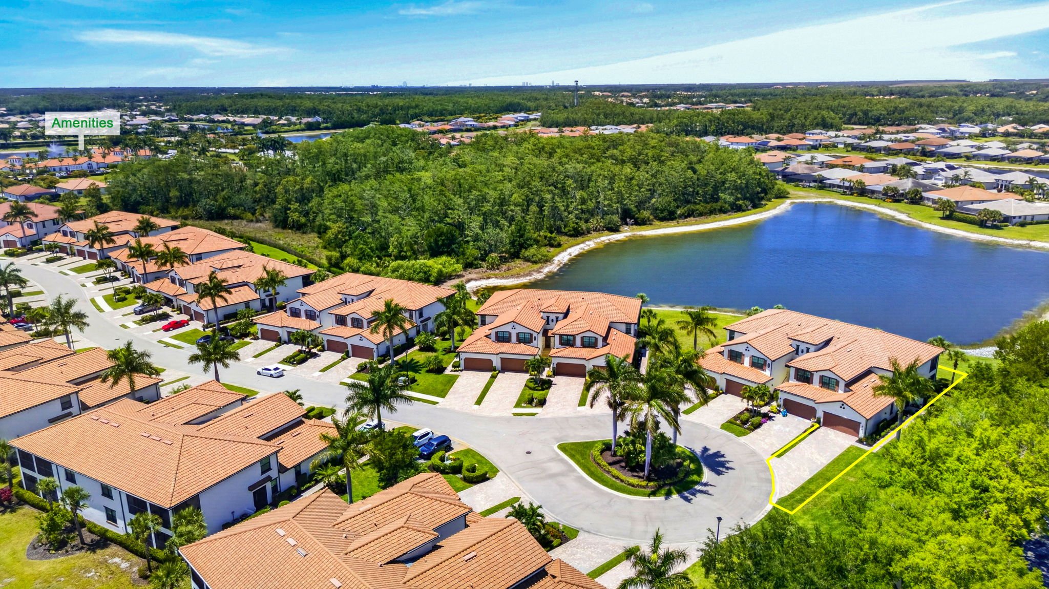 Aerial View - lot lines
