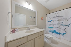  Photo 41