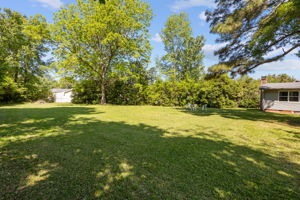  Photo 49
