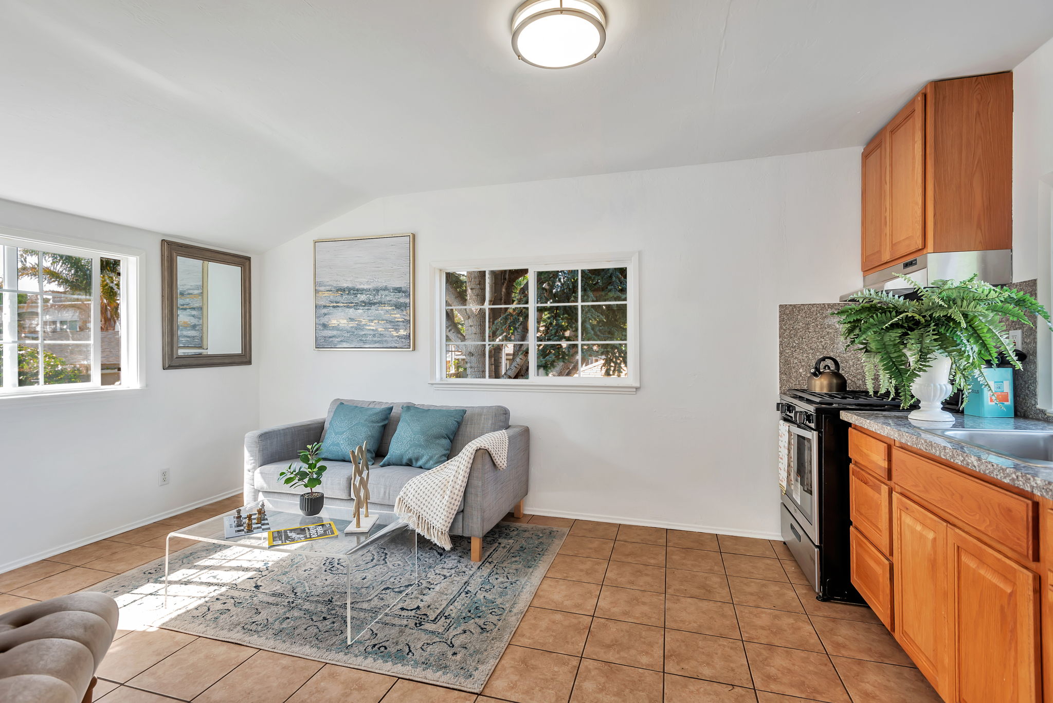ADU Living/kitchen