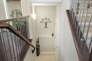  Photo 51