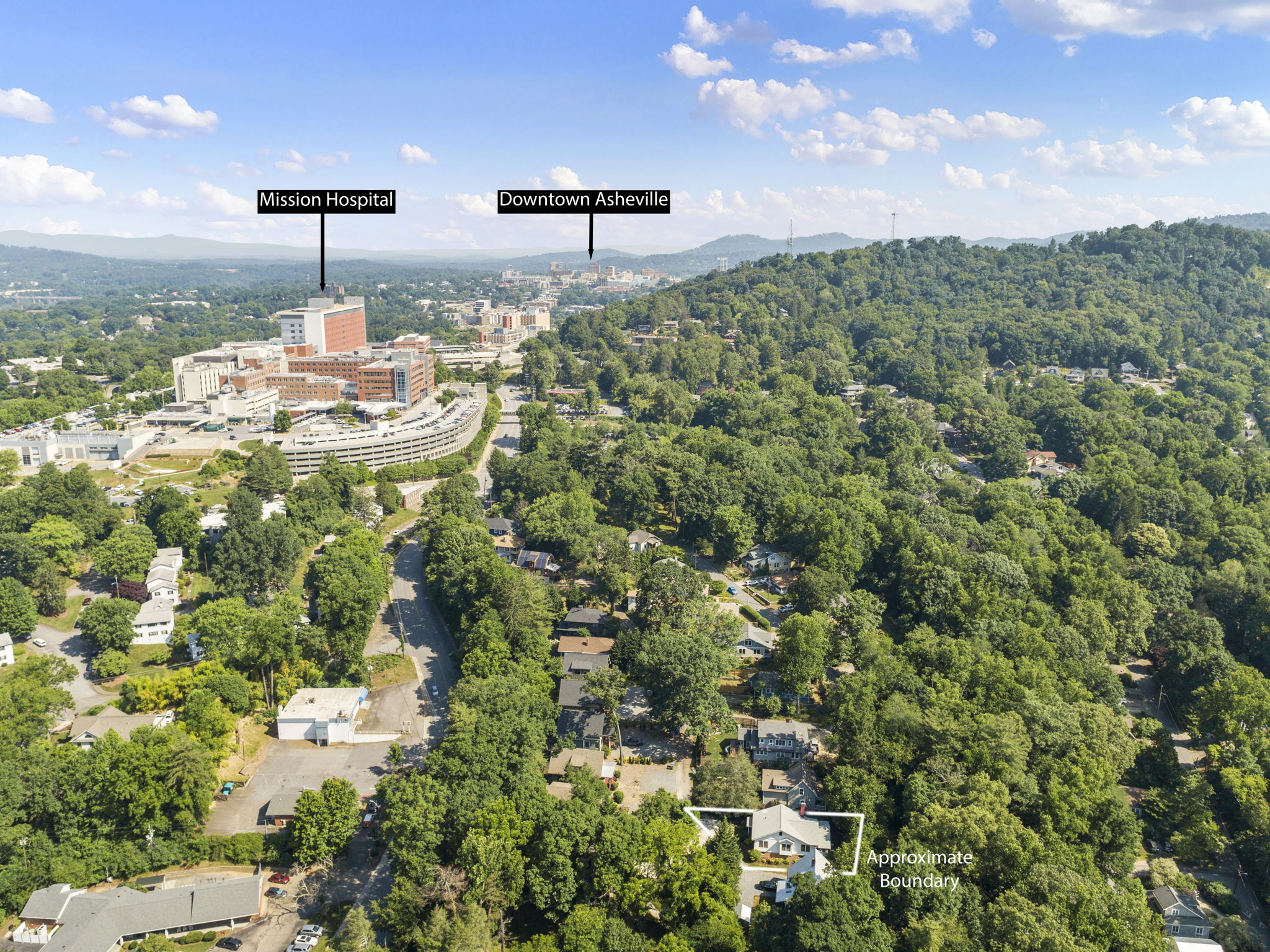 119 Unadilla Ave, Asheville, NC 28803, USA Photo 68