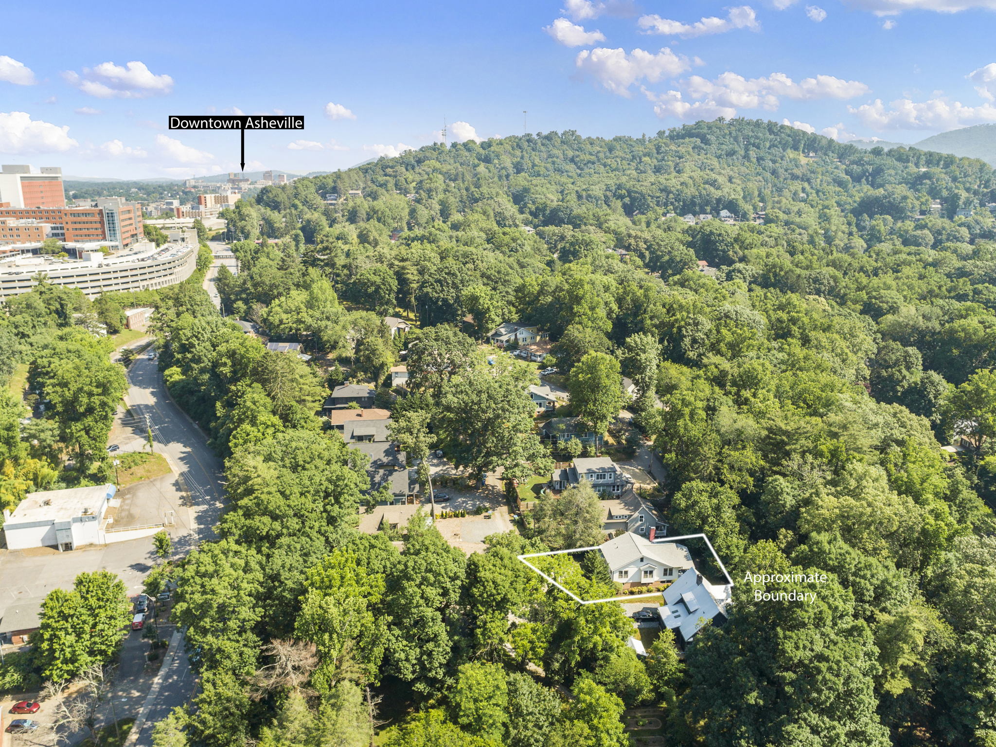 119 Unadilla Ave, Asheville, NC 28803, USA Photo 69