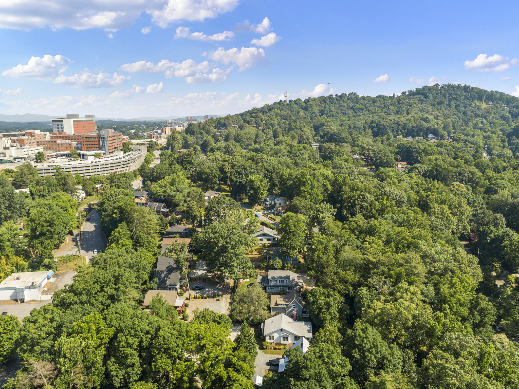 119 Unadilla Ave, Asheville, NC 28803, USA Photo 37