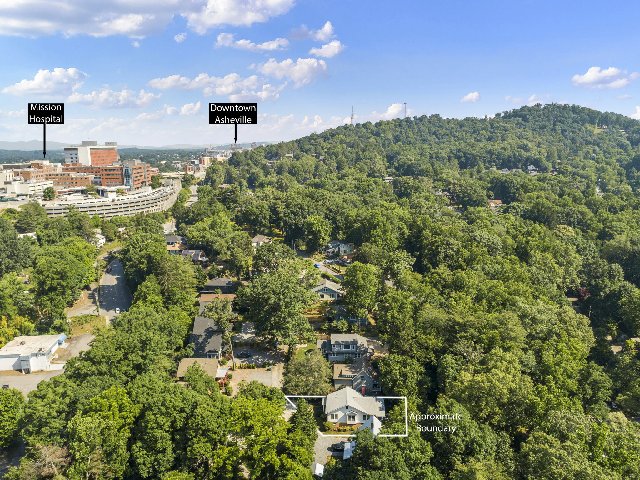 119 Unadilla Ave, Asheville, NC 28803, USA Photo 59