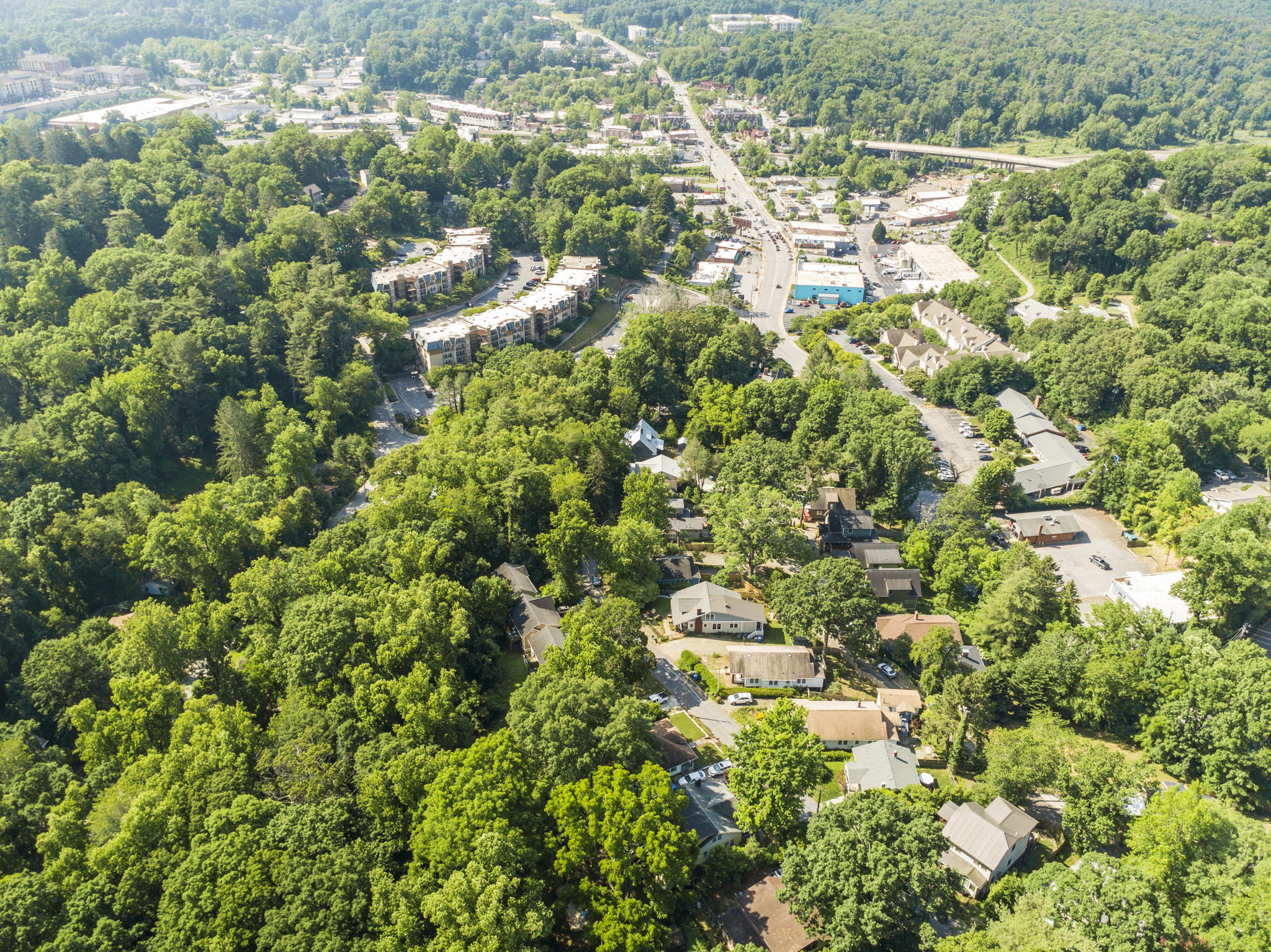 119 Unadilla Ave, Asheville, NC 28803, USA Photo 41