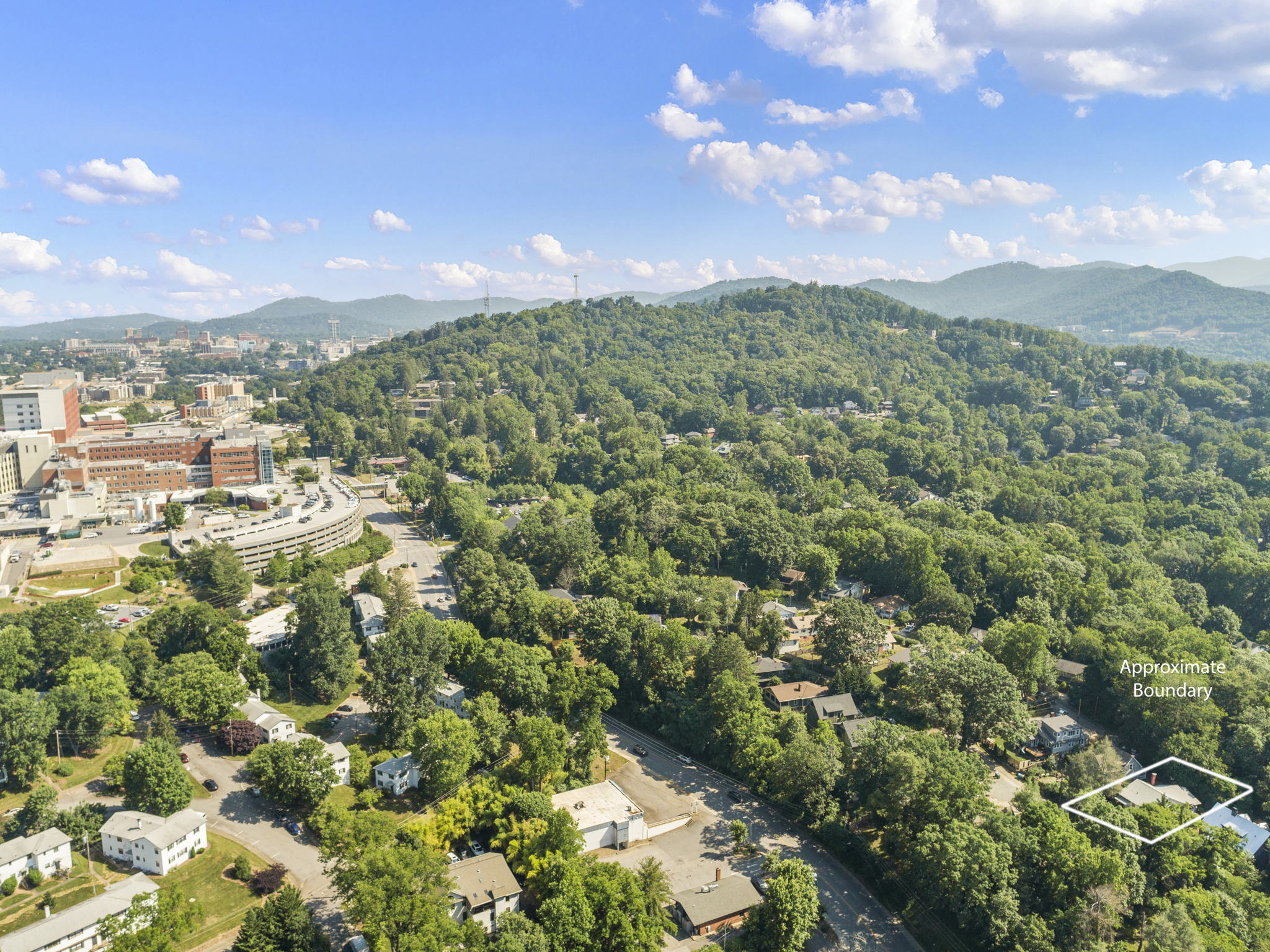 119 Unadilla Ave, Asheville, NC 28803, USA Photo 66