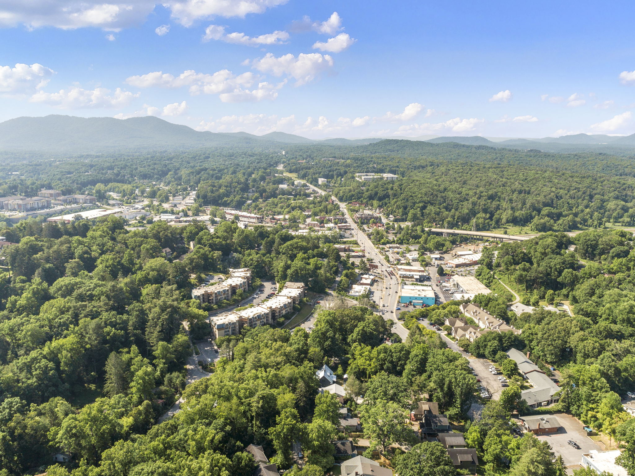 119 Unadilla Ave, Asheville, NC 28803, USA Photo 44