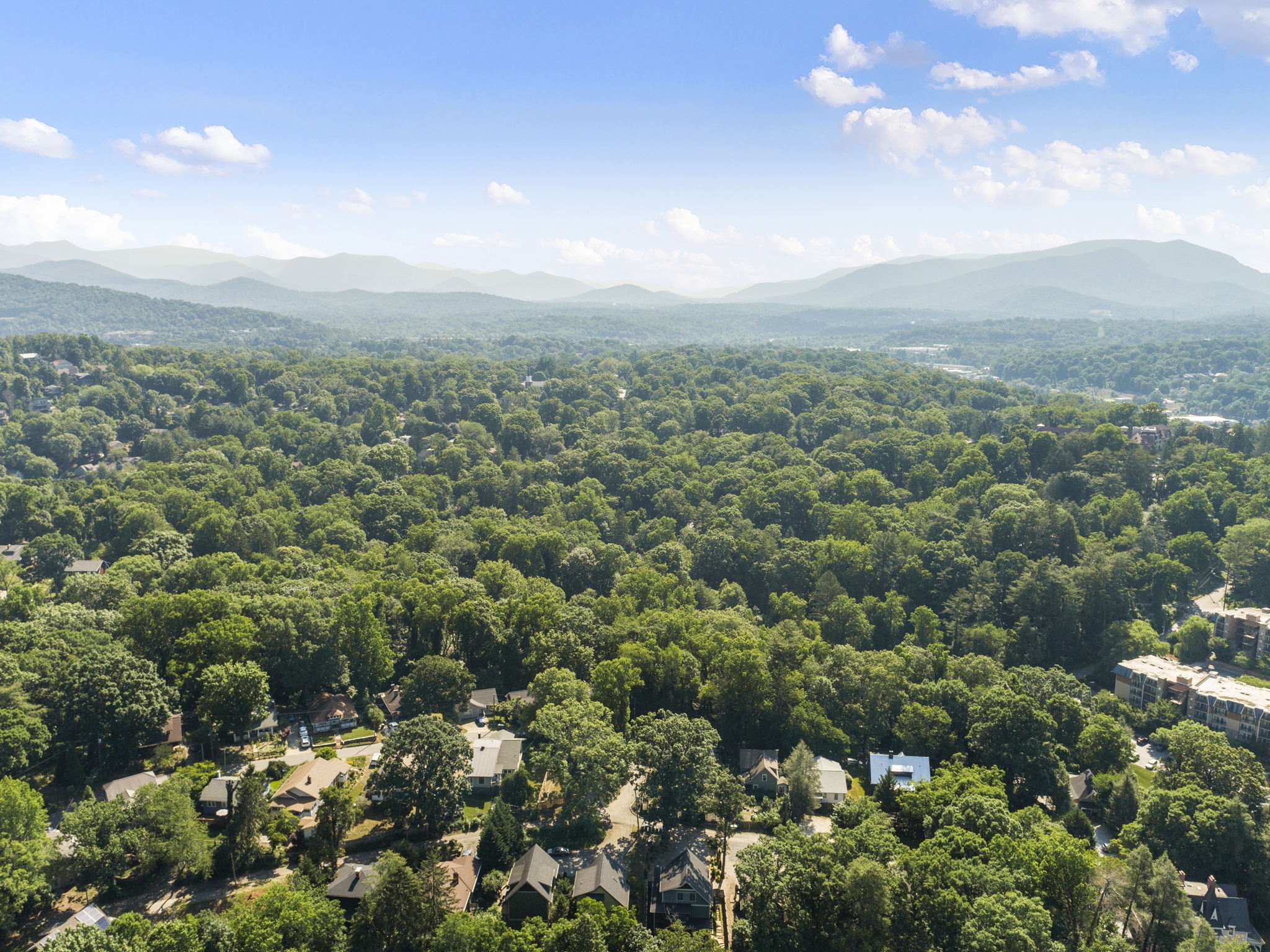 119 Unadilla Ave, Asheville, NC 28803, USA Photo 42