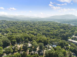 119 Unadilla Ave, Asheville, NC 28803, USA Photo 64