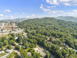 119 Unadilla Ave, Asheville, NC 28803, USA Photo 44