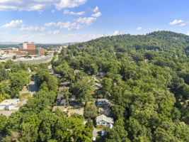 119 Unadilla Ave, Asheville, NC 28803, USA Photo 36