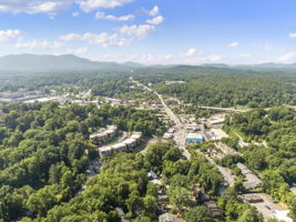 119 Unadilla Ave, Asheville, NC 28803, USA Photo 43