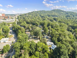 119 Unadilla Ave, Asheville, NC 28803, USA Photo 47