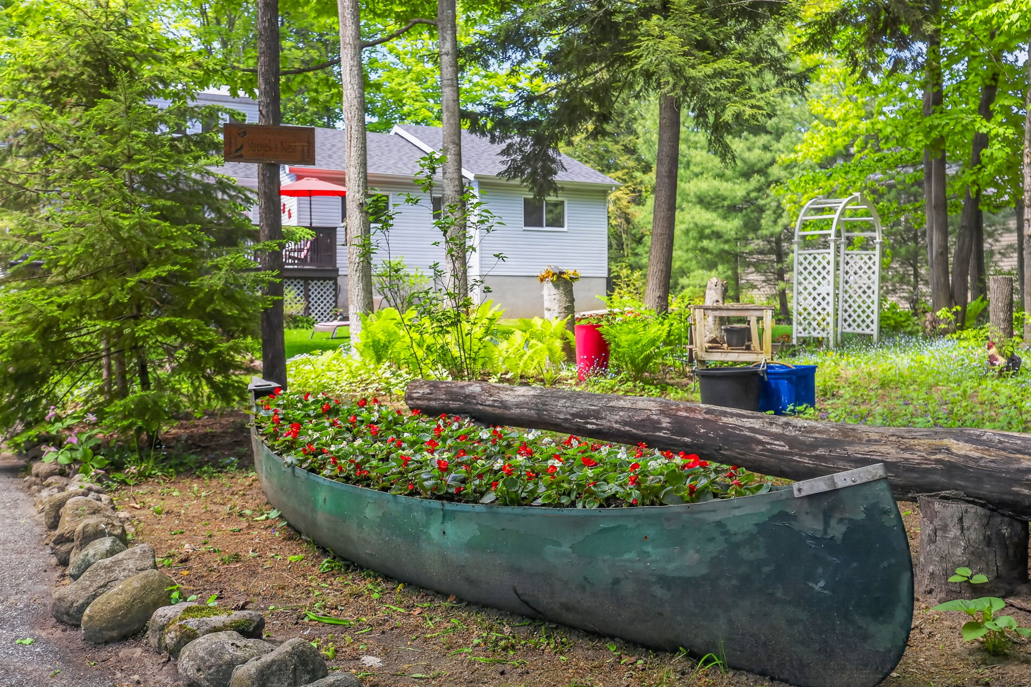  Photo 42