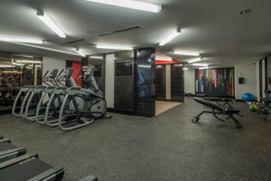  Photo 38