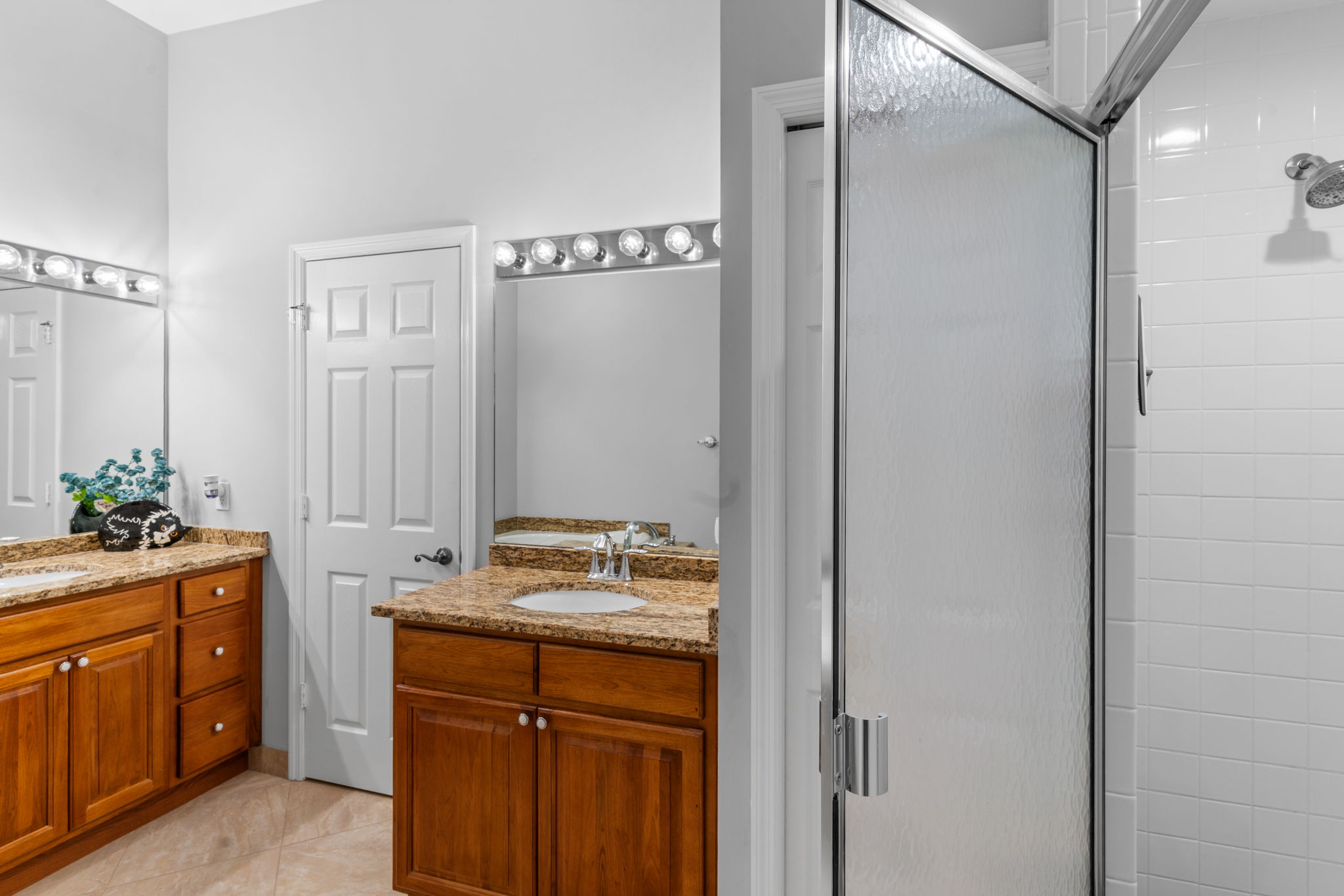 Primary bath – vanity and shower