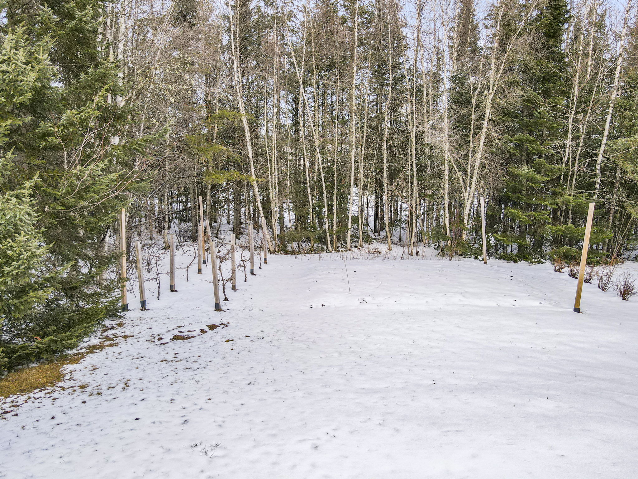 1190 Melanson Rd, Dieppe, NB E1A 7P2 PROPICSTA & MeasureMySpace