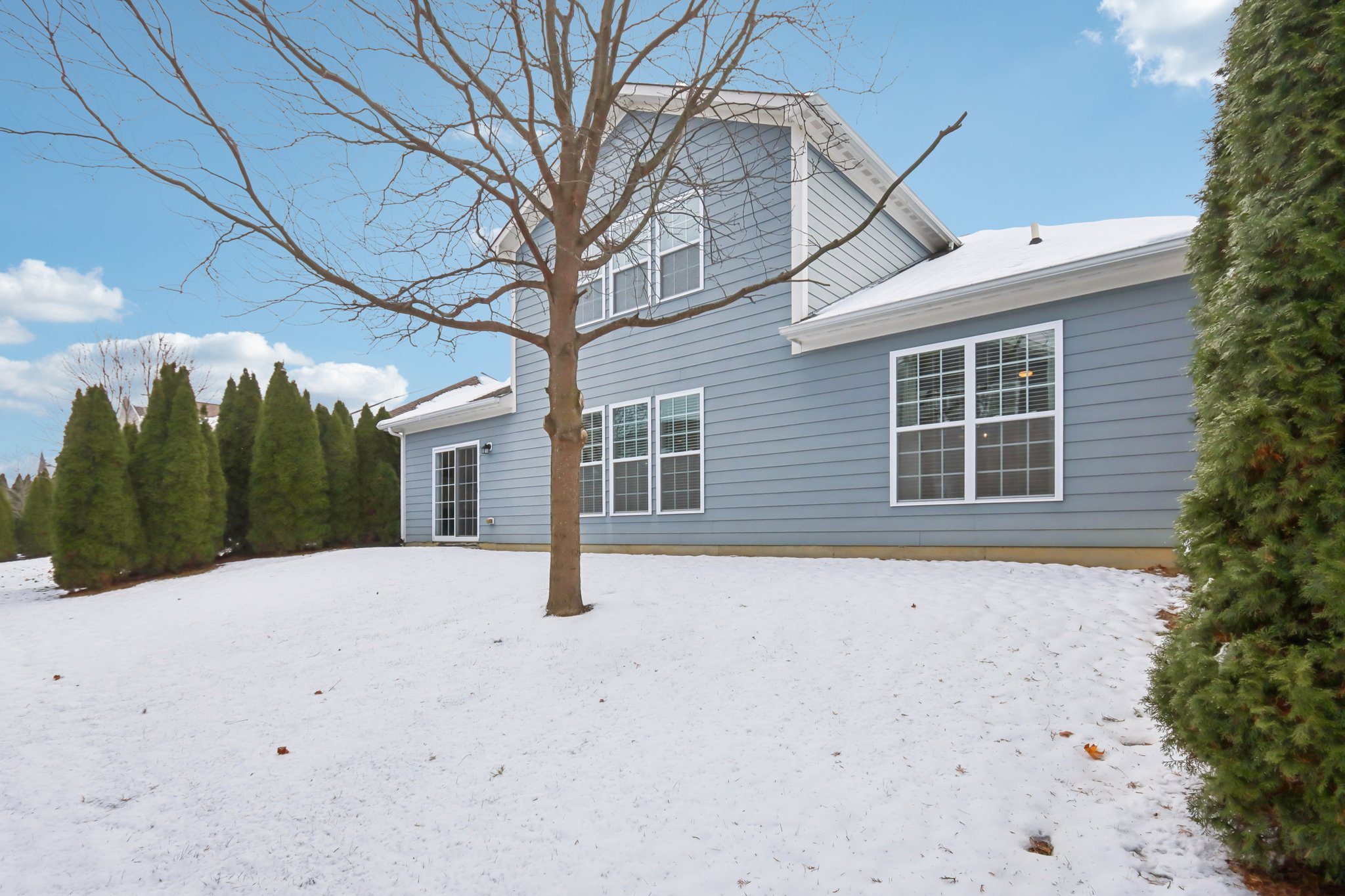 Avedon Way-S0212-035.jpg