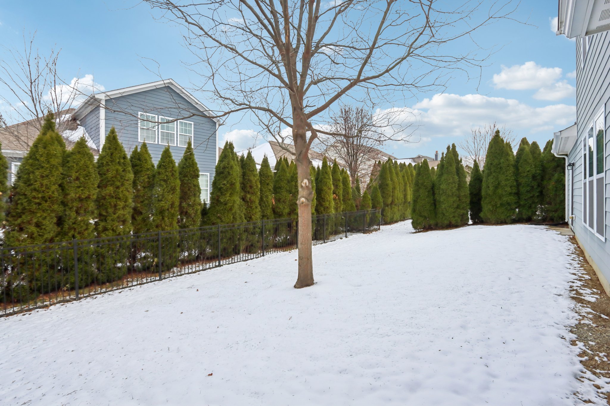 Avedon Way-S0212-039.jpg