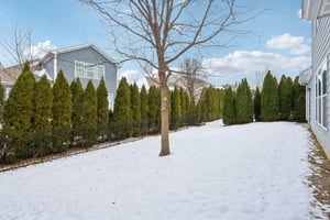 Avedon Way-S0212-039.jpg