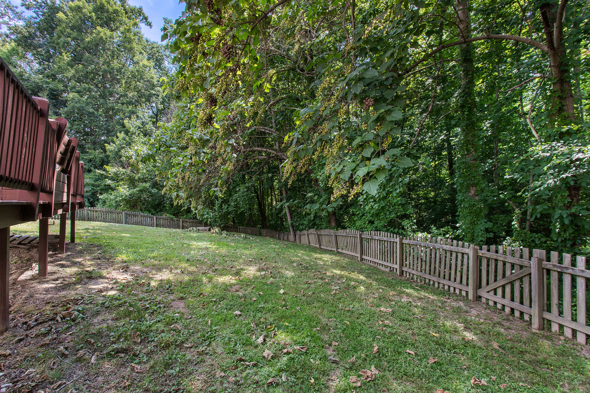 49-Backyard