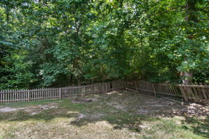47-Backyard