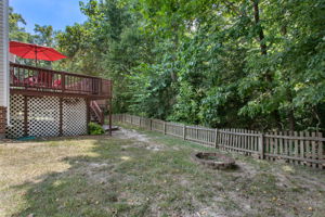 48-Backyard