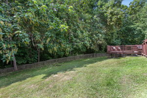 50-Backyard