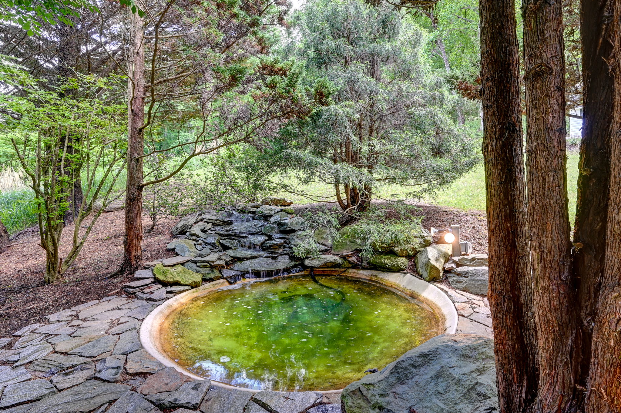 Pond