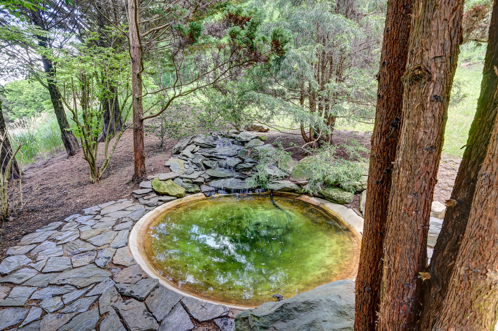 Pond