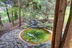 Pond