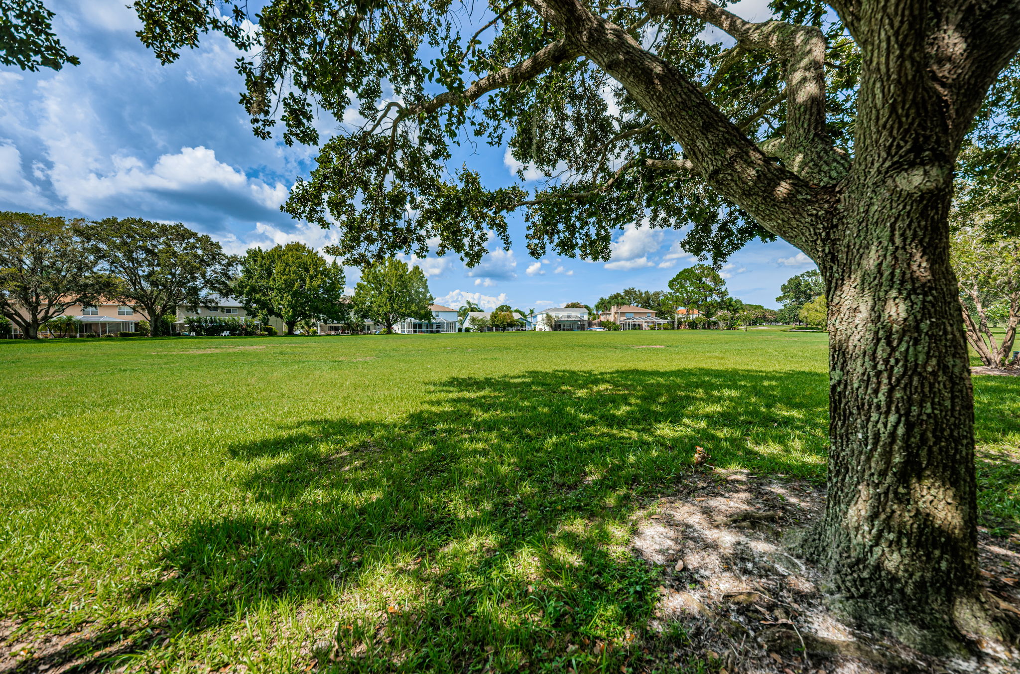 14-Countyway Park