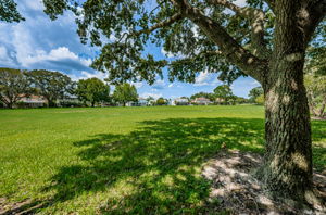 14-Countyway Park