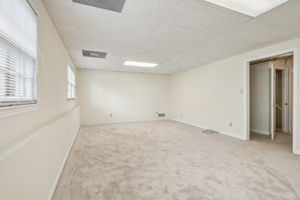 Basement Rec. Room