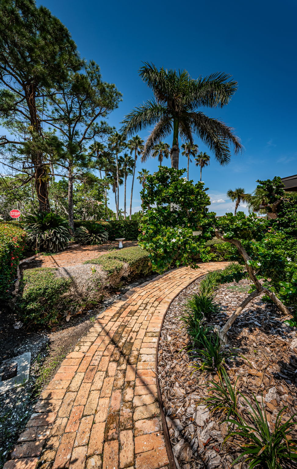 Frontyard Walkway2